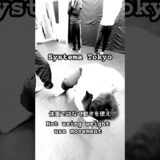 体重ではなく動きを使え