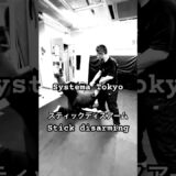 スティックのディスアーム #mikhailryabko #システマリャブコ #システマ東京
