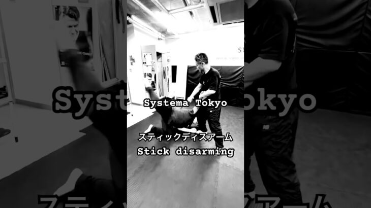 スティックのディスアーム #mikhailryabko #システマリャブコ #システマ東京