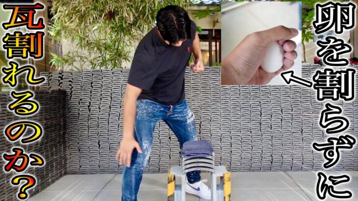 【神回確定】鶏の卵を割らずに瓦を割る【達人瓦割り】をやってみた