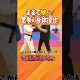 まるで壁！ いくら押してもビクともしない意拳の身体操作