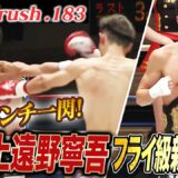 【Krush】あまりにも神速..！あまりにも鮮烈..！上遠野寧吾、全勝無敗のままKrushフライ級の頂点へ..！Krush.183】ABEMAで全試合無料配信中