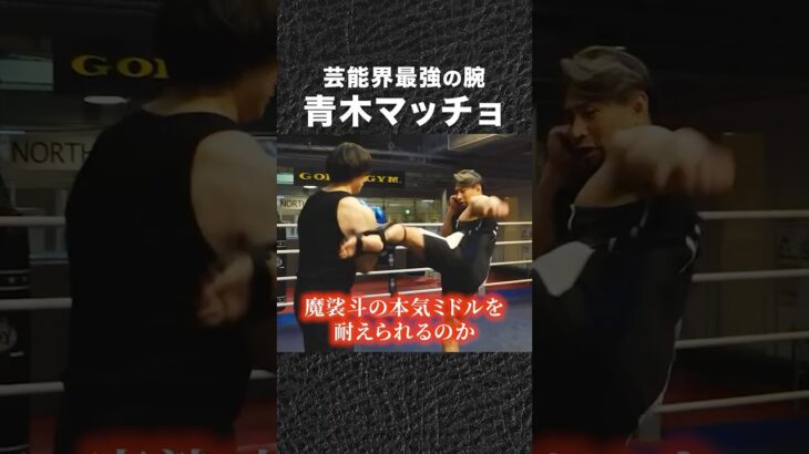 青木マッチョ VS 魔裟斗 芸能界最強の腕はミドルキックを耐えられるのか #shorts