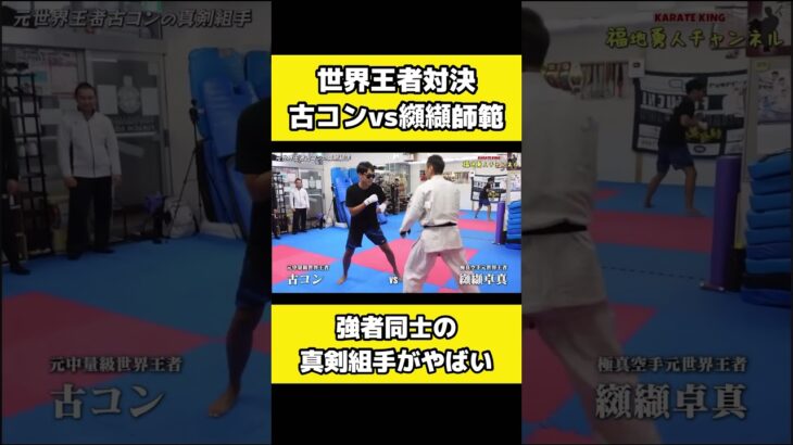 世界王者対決の組手がレベル高すぎた