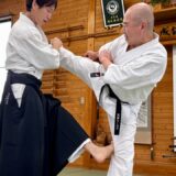 Kicking the Knee Joint! Aikido Master Analyzes “How to Counter Kicks in Chinese Martial Arts”