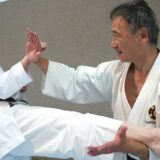 Shorinji Kempo! Catch the kick and strike the pressure point!