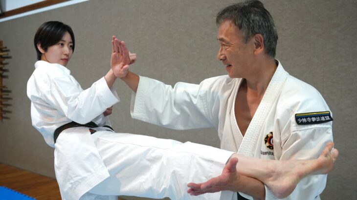 Shorinji Kempo! Catch the kick and strike the pressure point!