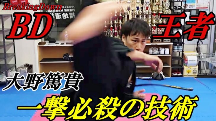 【BreakingDown10連勝】大野篤貴のチャンピオンテクニックが深すぎた！！【後ろ蹴り・後ろ回し蹴り・パンチ】