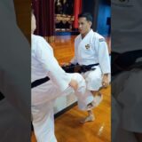 Shorinji Kempo!