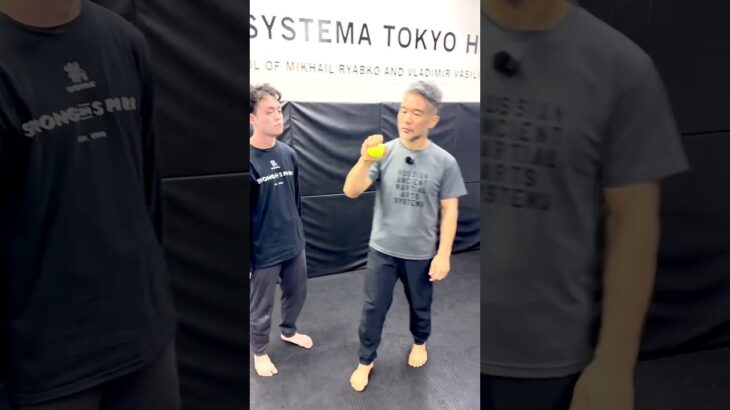 1人でできるシステマストライク強化法　#systema #システマ #systemavasiliev #systemaryabko #システマ東京  #システマリャブコ