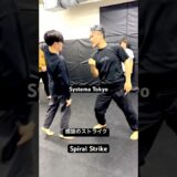 螺旋のストライク　Spiral systema strike #mikhailryabko #systema #systemavasiliev