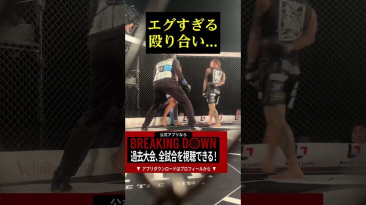 エグすぎる殴り合い。。。