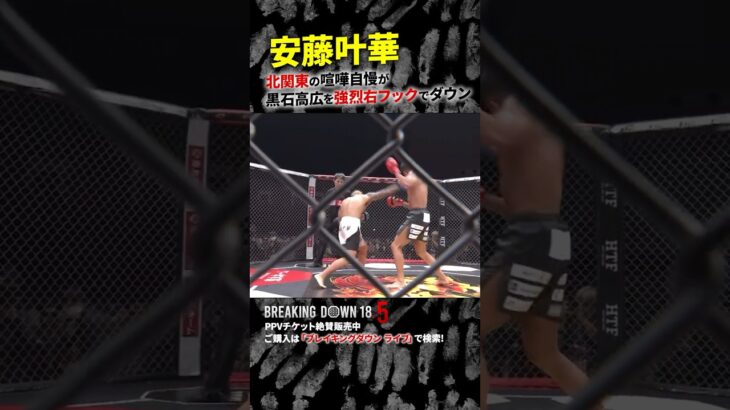 誰も予想しなかった喧嘩自慢の一撃… 安藤叶華 vs 黒石高大