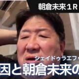 朝倉未来の敗北について　シェイドゥラエフ vs. 朝倉未来