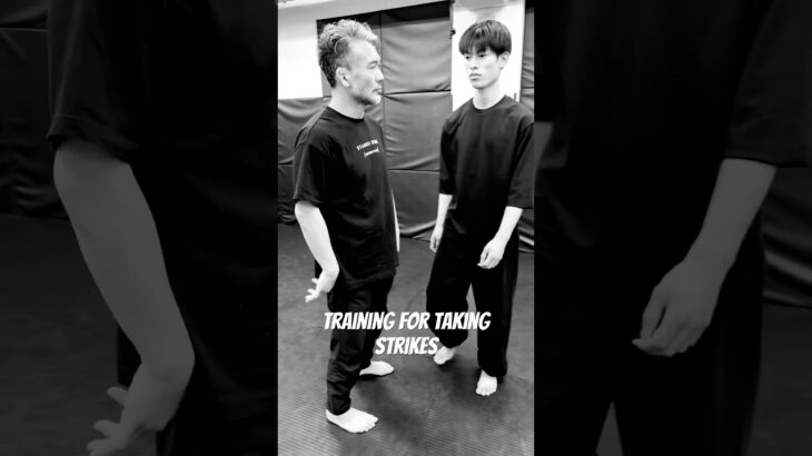 ストライクを受ける練習 #systema #systemavasiliev #systemaryabko