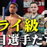 2026年フライ級戦線！年内統一戦が行われれるかも…