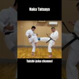 Mikazuki-geri 三日月蹴り