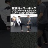 ロシアの格闘術『システマ』魔裟斗のローキックは効くのか？ #shorts