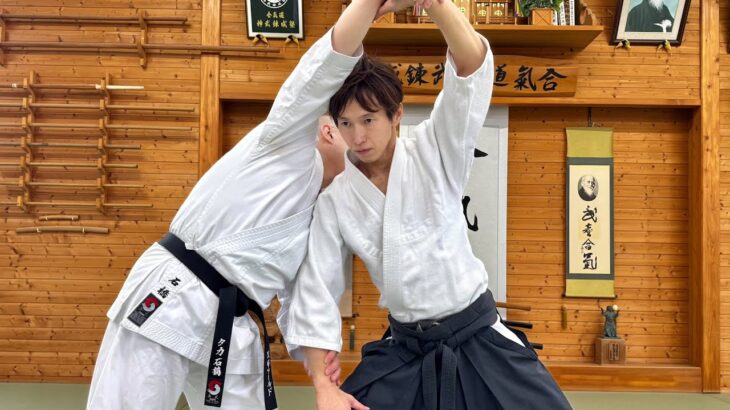 Chinese Kung-fu: Lethal, Instantaneous, Destructive / Explained by the Aikido Master Ryuji Shirakawa