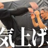 【合気上げ】合気上げ議論に終止符を打ってしまいました