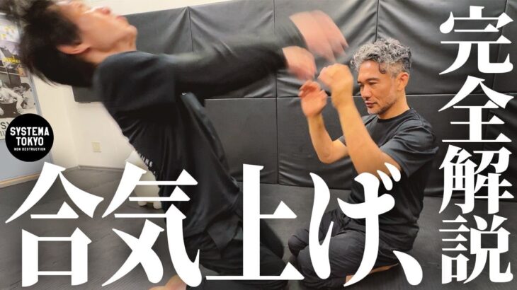 【合気上げ】合気上げ議論に終止符を打ってしまいました