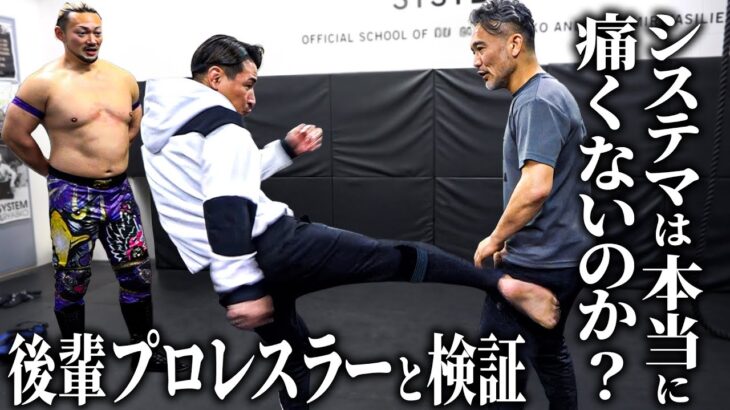 「痛くないは嘘だろ？」システマの達人を本気で蹴って検証しました