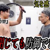 【気を感じ取る達人】なら目を閉じでも相手の攻撃を絶対に防御出来るはず
