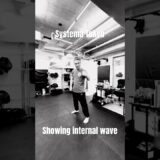 内的な波を可視化してみる