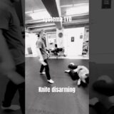 対ナイフ。少し速め #systema #systemaryabko