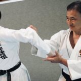 The Answer Lies Within Your Body【Karate and Shorinji Kempo】