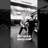 インターナルウェーブを使う #systema #martialarts #systemaryabko