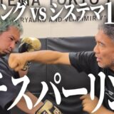 システマ全開 vs ボクシング　【ガチスパーリング】した結果