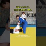 Beautiful Self-Defenseby a Judo Gold Medalist