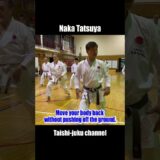 Budo Karate,  Naka Tatsuya