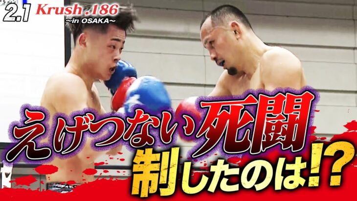 【Krush】昼夜ぶっ通しの大阪大会のメインマッチ、新美貴士 vs 松本海翔。激闘を制したのは…!?【Krush.186 ~in Osaka~】ABEMAで全試合無料配信中！