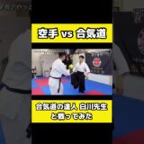 合気道の達人とガチ勝負した