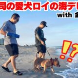 愛犬ロイを初めて海に連れて行ったら反応が面白すぎました！w