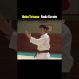 How to use shuto-uke. Budo Karate