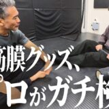 筋膜グッズを筋膜のプロ【藤本靖】に【ガチ検証】してもらった【日本身体性学協会会長】