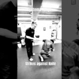 ナイフをストライクで迎撃する　#systema #systemaryabko #システマ東京 #システマ
