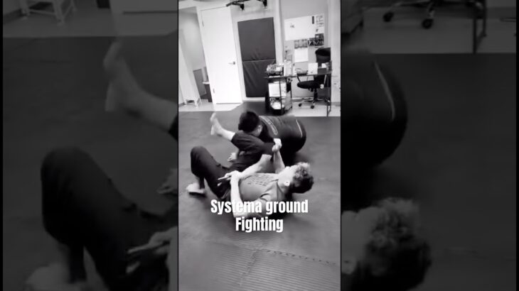 システマ式寝技対ナイフ #systema