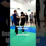 マーティンウィラー　片手投げ