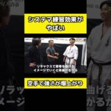 システマを取り入れたら空手の強さが爆増した