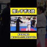 達人の達人すぎる技が怪しすぎた