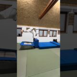 Gimnastika #aikido #martialarts #gimnastics #gimnastika