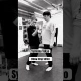 システマ式エルボー