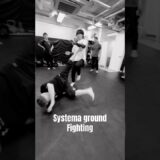 システマグラウンドファイト