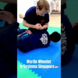 関節技無限コンボbyマーティン先輩