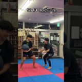 【50kgのボール】でキャッチボールして全身を鍛えた #達人 #karate #aikido