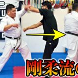 【瞬時に制圧】剛柔流の型に隠された身体操作に一同驚愕！！